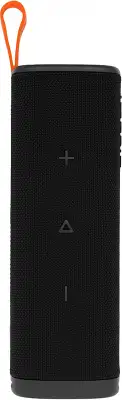 Акустическая система S29D Xiaomi Sound Outdoor 30W Black, 30W (QBH4261GL)