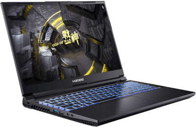 Ноутбук Hasee Z8-DA7NS 15.6" FHD i7-12650H/16/512 SSD/RTX3060 6G/WF/BT/Cam/DOS