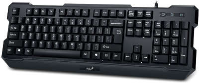 Клавиатура USB Genius KB-210 Black