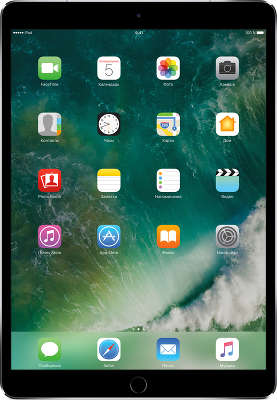 Планшетный компьютер Apple iPad Pro 10.5" [MQEY2RU/A] 64GB Wi-Fi + Cell Space Gray