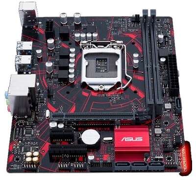 Материнская плата microATX LGA1151 ASUS EX-B360M-V3