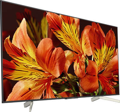 ЖК телевизор Sony 49"/123см KD-49XF8596 LED 4K Ultra HD с Android TV, чёрный