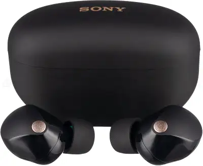 Гарнитура внутриканальные Sony WF-1000XM5 черный беспроводные bluetooth в ушной раковине (WF-1000XM5/BC)