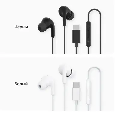 Наушники Xiaomi Type-C Earphones_черные