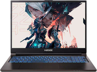 Ноутбук Hasee T8-DA7NP+ 16" WQXGA IPS i7 12700H 2.3 ГГц/16/512 SSD/GF RTX 3060 6G/Dos