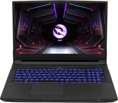 Ноутбук Hiper G16 16.1" FHD IPS i7-11700/32/2Tb SSD/RTX 3070 8G/Linux