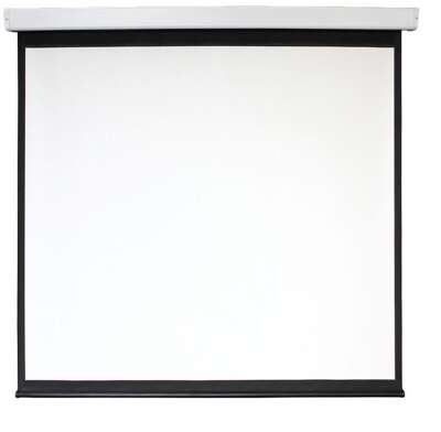 Экран Digis 118