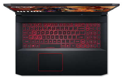 Ноутбук Acer Nitro 5 AN517-52-78J6 17.3" FHD i7-10750H/16/512 SSD/GF RTX 2060 6G/WF/BT/Cam/W10