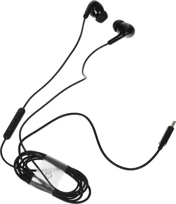 Наушники Xiaomi Type-C Earphones_черные