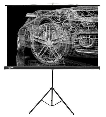 Экран Cactus 124.5x221см Triscreen CS-PST-124x221 16:9 напольный рулонный черный