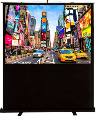 Экран Cactus 90