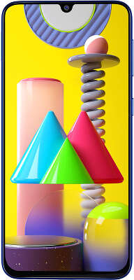 Смартфон Samsung SM-M317F Galaxy M31s 128Гб Dual Sim LTE, синий (SM-M317FZBNSER)