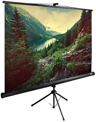 Экран Cactus 220x220см TriExpert CS-PSTE-220x220-BK 1:1 напольный рулонный черный