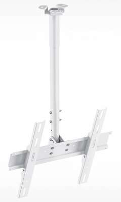 Кронштейн для телевизора Holder PR-101-W белый 32"-65" макс.60кг потолочный фиксированный
