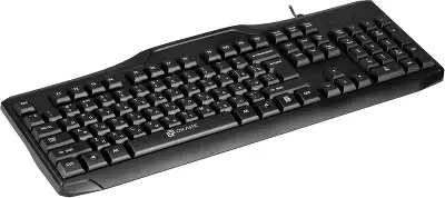 Клавиатура Оклик 170M черный USB (855272)