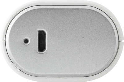 Дополнительный аккумулятор Gigabyte Power Bank RFG30A1 3000mAh, White