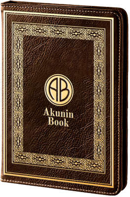 Электронная книга 6