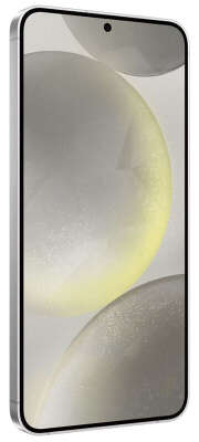 Смартфон Samsung Galaxy S24+, Exynos 2400, 12Gb RAM, 256Gb, серый (SM-S926BZABAFB)