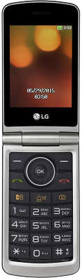 Мобильный телефон LG G360 titanium