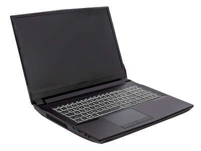 Ноутбук Hiper G16 16.1" FHD IPS i5 10400/16/1Tb SSD/RTX 3070 8G/W11Pro