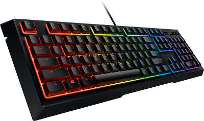 Клавиатура Razer Ornata Chroma