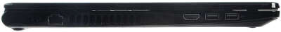 Ноутбук Dell Inspiron 3565 15.6" HD А9 9425/8/1000/Multi/WF/BT/Cam/Linux