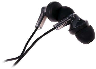 Наушники внутриканальные Panasonic RP-HJE118GU 1.1м черный проводные в ушной раковине (RP-HJE118GUK)