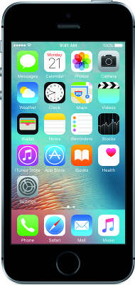 Смартфон Apple iPhone SE [MP822RU/A] 32 GB space gray