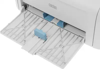 Принтер CACTUS CS-LP1120NWW