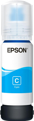 Epson C13T00R240