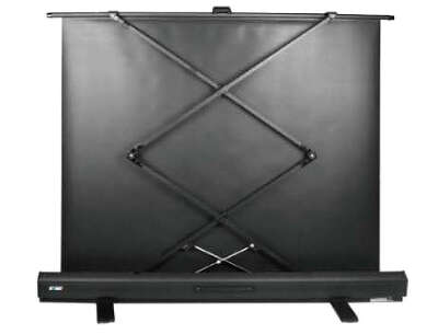 Экран напольный Cactus 113x200см FloorExpert CS-PSFLE-200X113