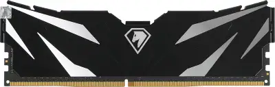 Набор памяти DDR4 DIMM 2x8Gb DDR3200 Netac Shadow II Black (NTSWD4P32DP-16K)