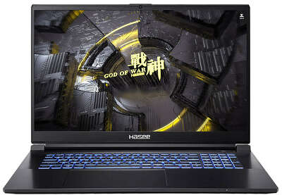 Ноутбук Hasee G8R9 17.3" QHD 165Hz i9-13900H/16/1Tb SSD/RTX4060 8G/WF/BT/Cam/DOS