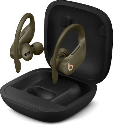 Наушники Beats Powerbeats Pro, серия Totally Wireless, Moss [MV712EE/A]