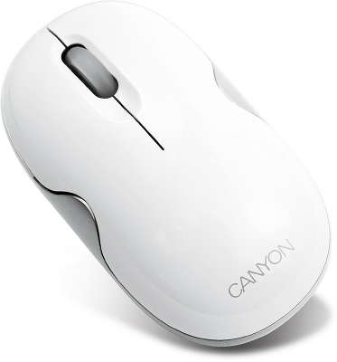 Мышь беспроводная CANYON CNR-MSBT01 White,Silver