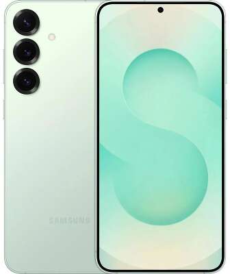 Смартфон Samsung Galaxy S25+ 12+512Gb мятный (SM-S936BLGCCAC)