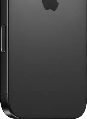 Смартфон Apple A3295 iPhone 16 Pro Max 256Gb черный титан моноблок 3G 4G 1Sim 6.9" 1320x2868 iOS 18 48Mpix 802.11 a/b/g/n/ac/ax/be NFC GPS Protect