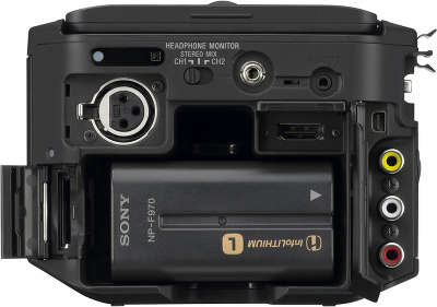 Камкордер Sony NEX-FS100P