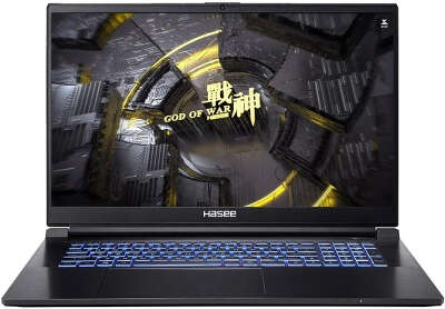 Ноутбук Hasee G8-DA7NP 17.3" QHD 165Hz i7-12700H/16/512 SSD/RTX3060 6G/WF/BT/Cam/DOS