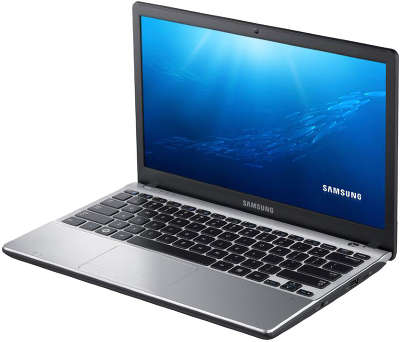 Нетбук Samsung NP305U1A-A04RU 11.6" HD/ E450/ 2/ 320/ WF/BT/CAM/ W7HB