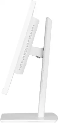 Монитор Iiyama 23.8" ProLite XUB2497HSU-W2 белый IPS LED 16:9 HDMI M/M матовая HAS Piv 300cd 178гр/178гр 1920x1080 100Hz DP FHD USB 4.9кг