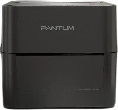 Термопринтер Pantum PT-D160N 203dpi 152мм/с/USB/Eth для печ.накл. черный