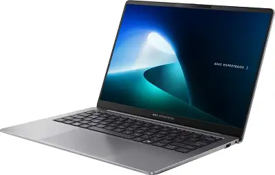 Ноутбук ASUS ExpertBook P5405CSA-NZ0298 14" WQXGA IPS 16/512Gb SSD/Без OC серый