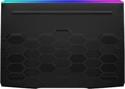 Ноутбук MSI GE76 Raider 10UH-441RU 17.3" FHD i7 10875H/64/2Tb SSD/GF RTX 3080 16G/WF/BT/Cam/W10