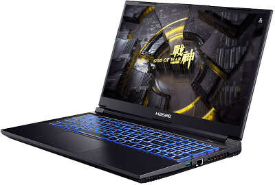 Ноутбук Hasee Z8 B63614FH 15.6