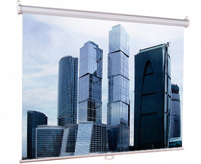 Экран настенный Eco Picture (180х180), рабочая область (180х180), Matte White