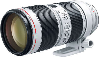 Объектив Canon EF 70-200 мм f/2.8L IS III USM