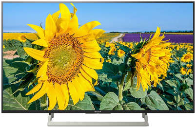 ЖК телевизор Sony 49"/123см KD-49XF8096 LED 4K Ultra HD с Android TV, чёрный