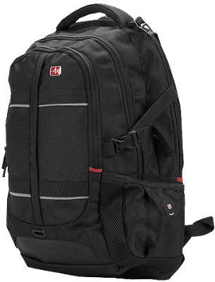 Рюкзак для ноутбука 15,6" Continent CON-BP302, черный