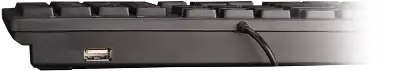 Клавиатура Оклик 520M2U черный/черный USB slim Multimedia